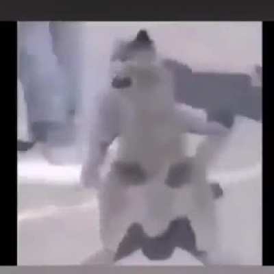 Gente alguien me puede decir el nombre de esta rola? El que me lo diga que Diosito me lo cuide