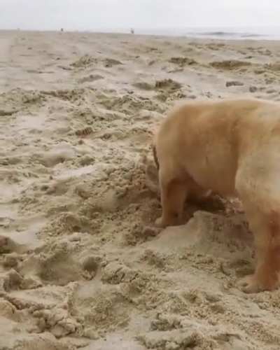 Look At That Little Butt 😍