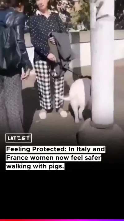 Is this true?