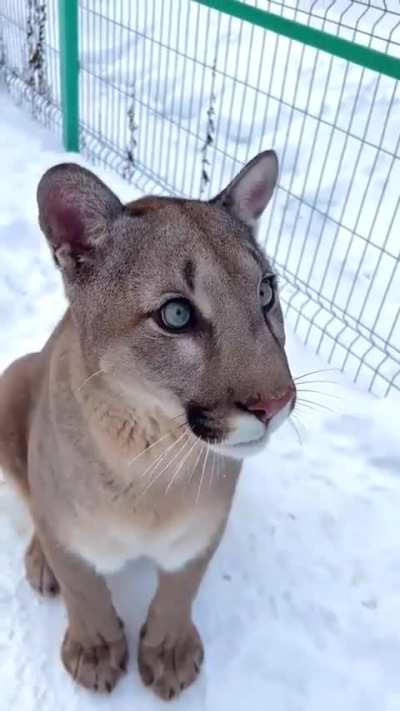 Gorgeous.
