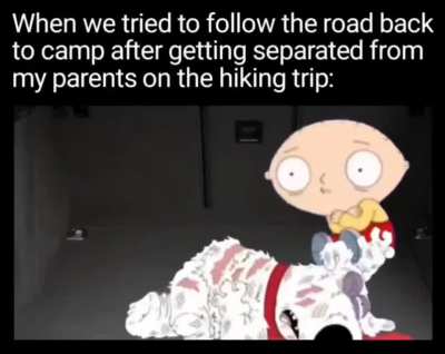 Should've stayed off the road