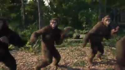Upvote if Monke