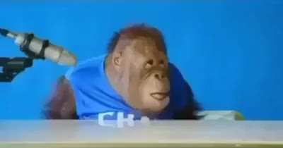 Monke asmr