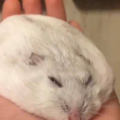:O