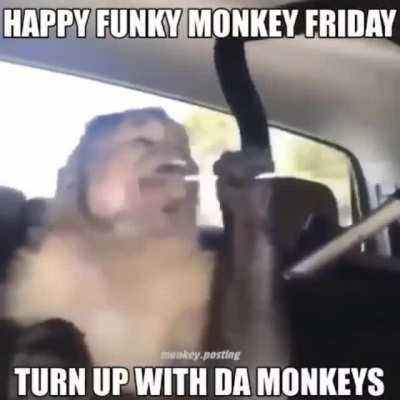 Fridays