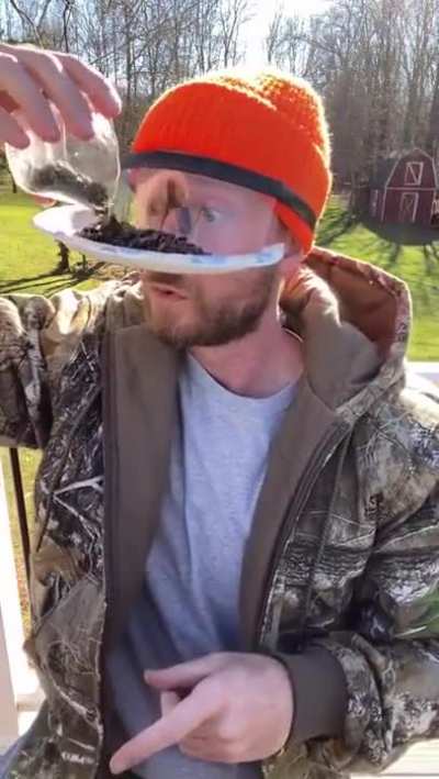 How to meet birds