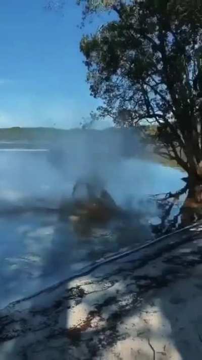 Дорогой, родителей вечером дома не будет!)