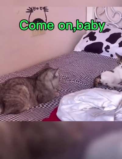 😂