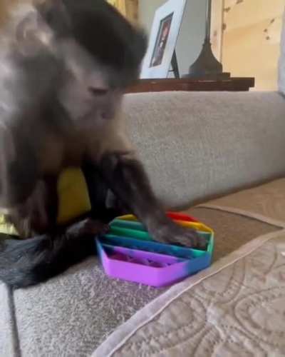 Maybe Maybe Maybe