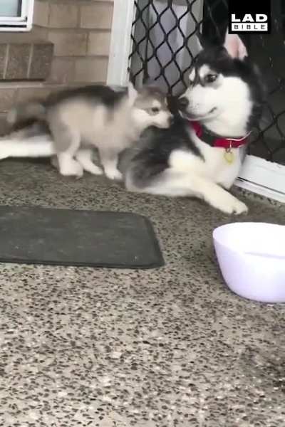 So much going on