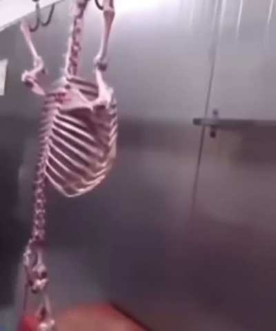 💀🏋️‍♂️