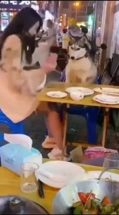 Is that a cat
