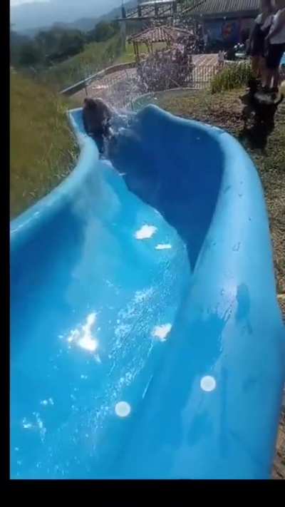 virou em 360&Acirc;&deg;