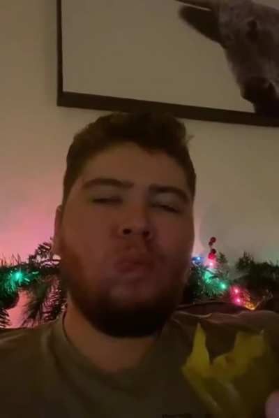 I ate a pickle while sitting on my couch