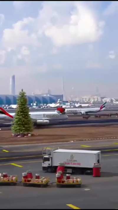 Santa spotted