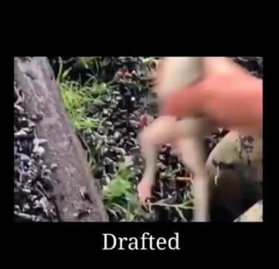 OH FUCK THEY GOT MART