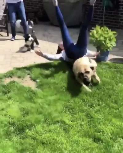 Hit em low