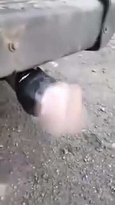 This Fleshlight on a muffler is the best thing I've seen all day