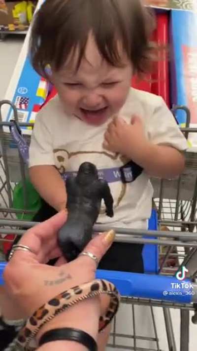 Little guy will forever hate Walmart now