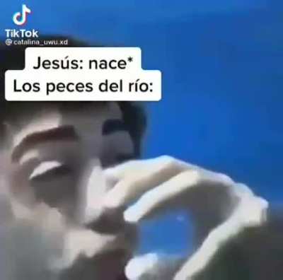 XD