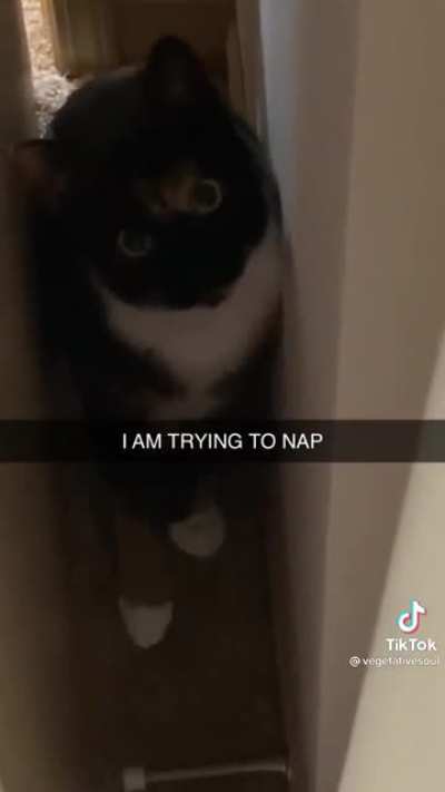 Trying to nap