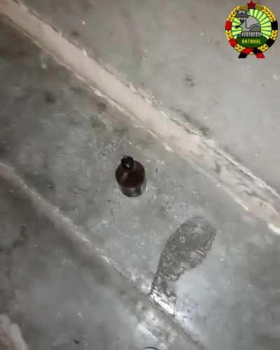 Nici sa mai bei o bere linistit nu poti in tara asta.