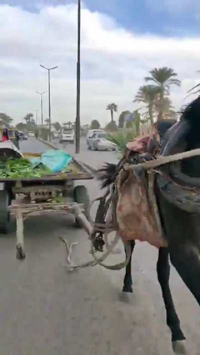 Om El Donia &amp;lt;3