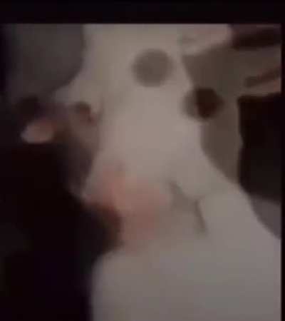 When you try to get a Serapenis ult reset off of your teammate but they walk out of the range