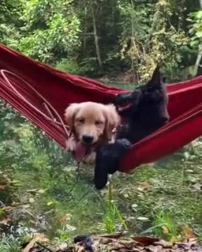 2 for 1 🤗!