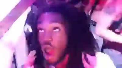 Moths when they see a lamp