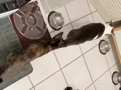 Buttmunch