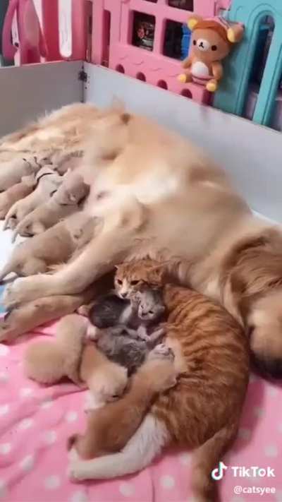 Born on the same day!