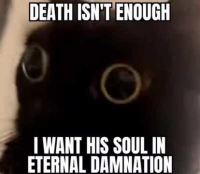 Kot