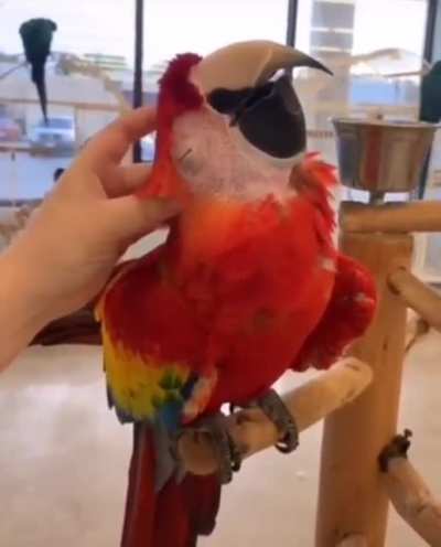 That&rsquo;s the spot right there
