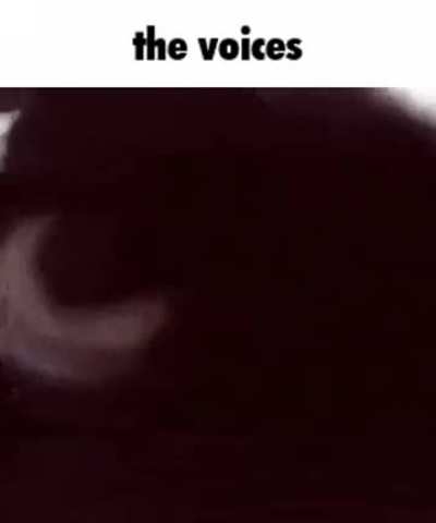 They are calling