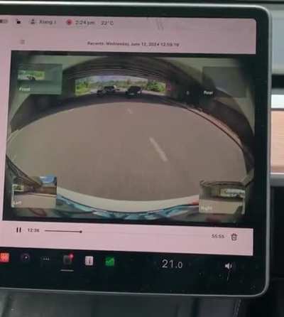 Got hit by another Tesla
