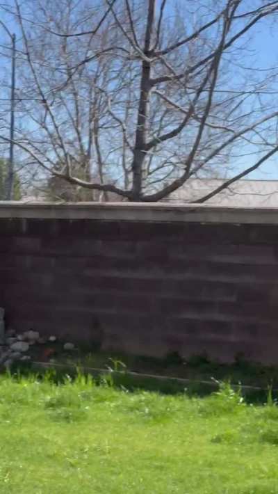 All the boys in the neighborhood like me more than the other moms for some reason. [GIF]