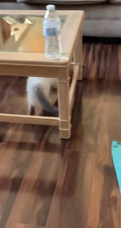 She was chasing the floor today&hellip;