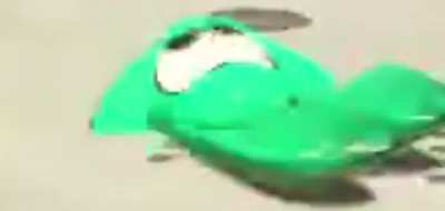 speen