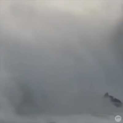 Hold your breath! Last second rescue