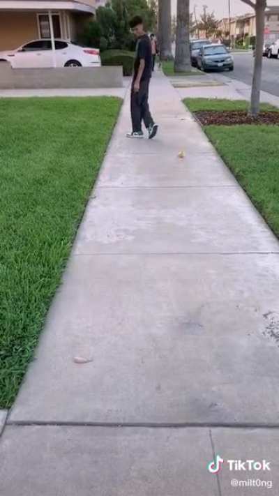 Sk8ter birb