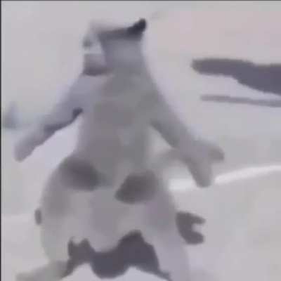 un v&iacute;deo random para aparecer en el v&iacute;deo del viejas