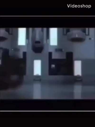 hehe she do a roll
