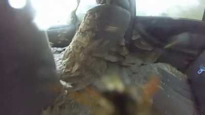 Wasp car