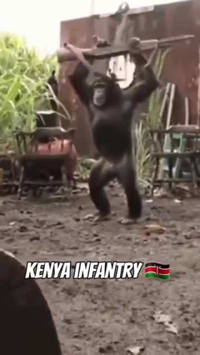 Don't mess with Africa 😤