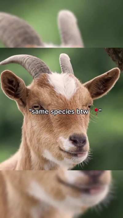 title