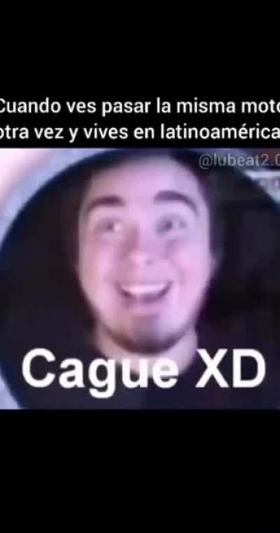 Cagu&eacute; XD