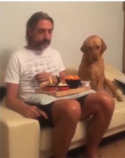 Poor puppers