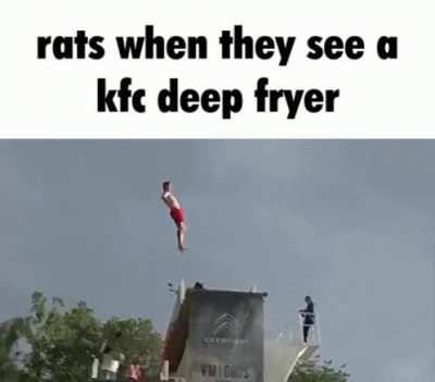 squeak squeak