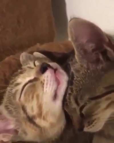 Cuddle Time